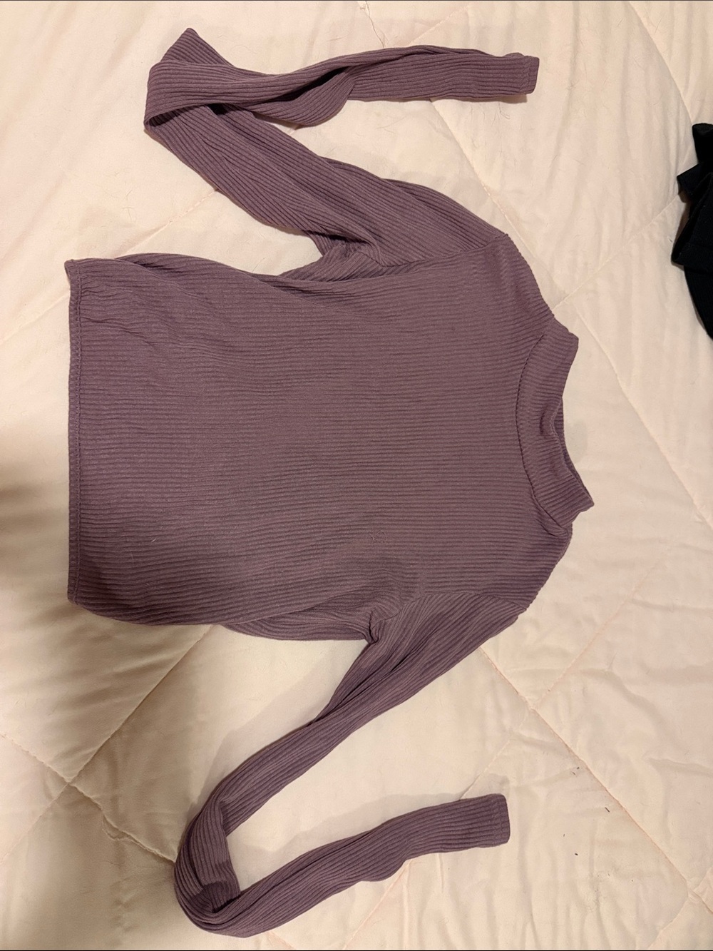 ALO Yoga Ribbed Mock Neck Long Sleeve Top in Mauve